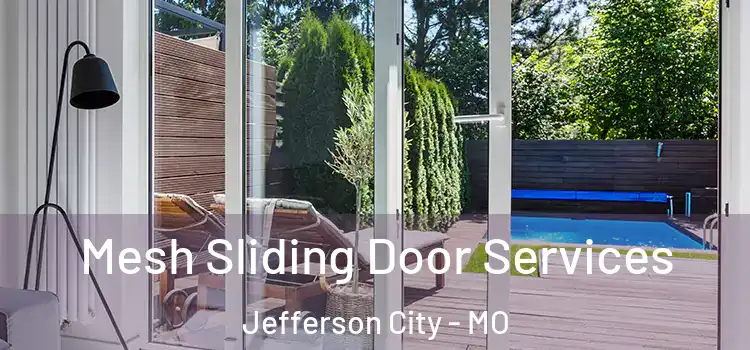 Mesh Sliding Door Services Jefferson City - MO